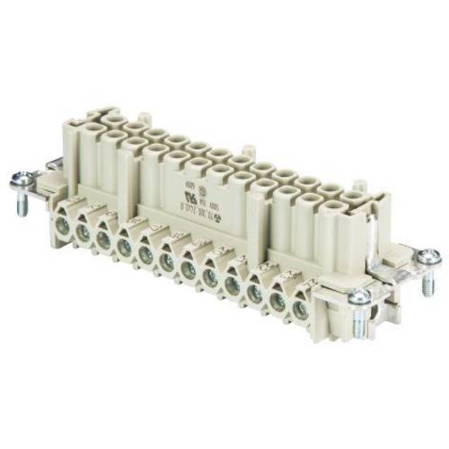 Wieland Electric 70.300.2440.0 Buchseneinsatz BAS Gesamtpolzahl 24 + PE 1 St.