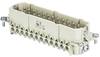 Wieland Electric 70.310.2440.0 Stifteinsatz BAS Gesamtpolzahl 24 + PE 1 St.