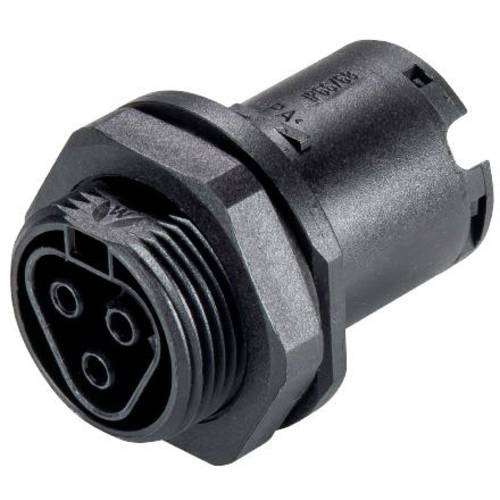 Wieland Electric 96.031.1053.1 Rundstecker Buchse, Einbau Gesamtpolzahl: 3 1 St.