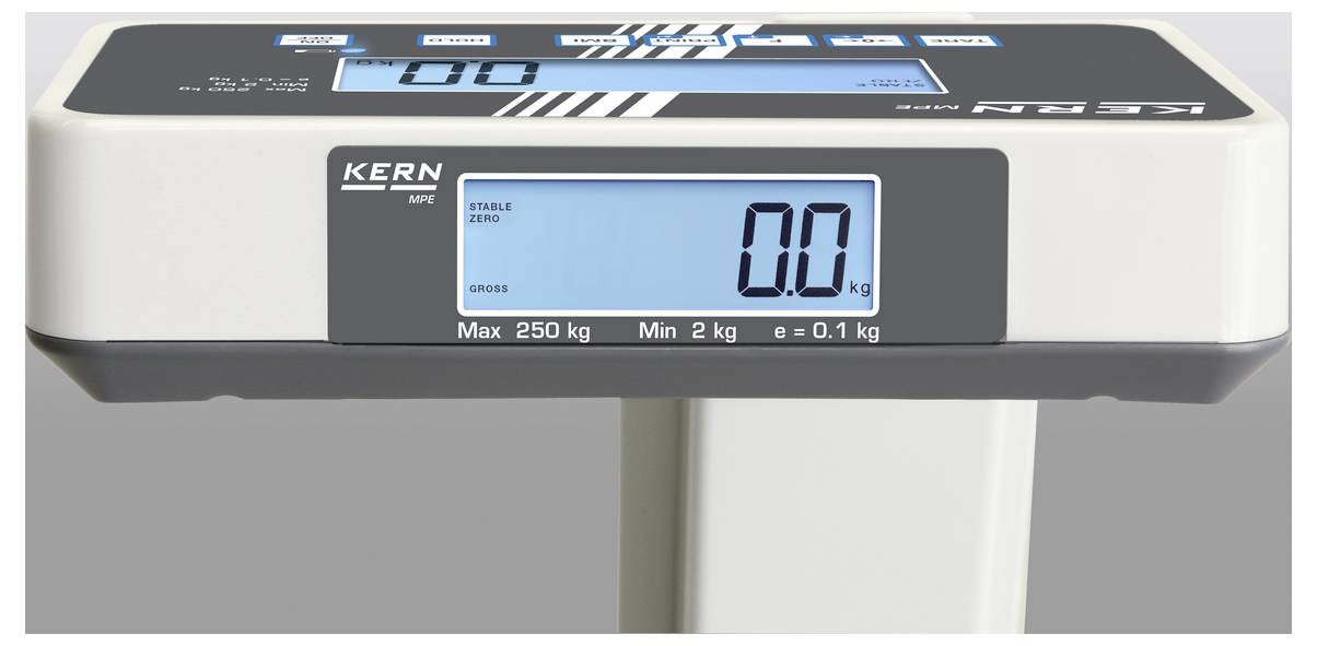 Eine digitale Waage zeigt '0,0 kg' auf dem Display an. Maximale Kapazität: 250 kg, minimale Kapazität: 2 kg, Genauigkeit: 0,1 kg.