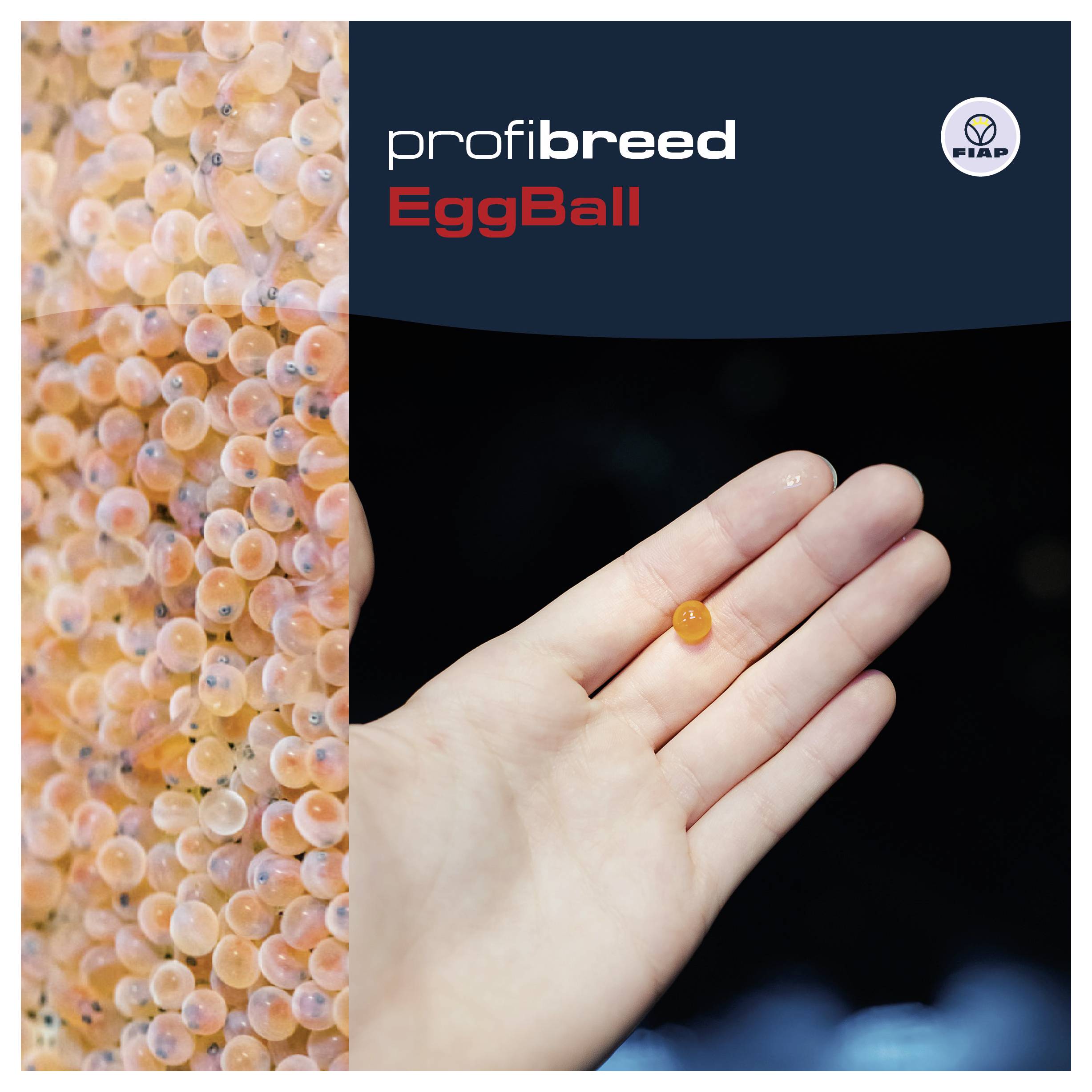 Hand hält ein kleines oranges Fischeierchen neben einer Säule von Fischeiern, gekennzeichnet mit 'profibreed EggBall' und dem FiAP-Logo.