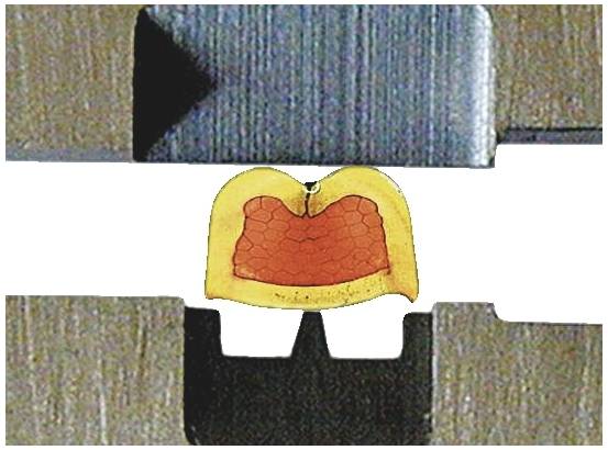 Metallschnitt in Querschnittsansicht: Oben und unten Metallplatten, in der Mitte schematische Darstellung einer orange-roten Struktur.