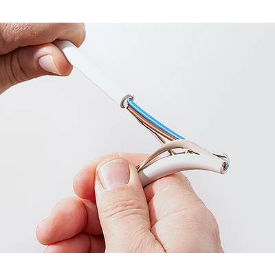 Eine Person hält ein Kabel mit freiliegenden Innenleitern und zeigt die verschiedenfarbigen Drähte im Inneren.