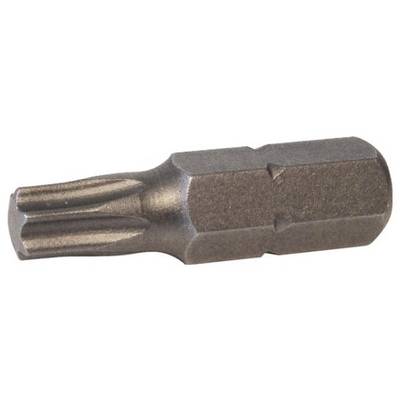 Ein Torx-Schraubendreher-Bit, metallisch und sternförmig, zum Eindrehen von Schrauben mit einem sechszackigen Aufnahmemuster.