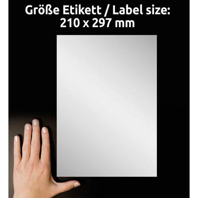 Hand, die ein weißes Etikett in Papiergröße 210 x 297 mm auf schwarzem Hintergrund zeigt. Text oben: 'Größe Etikett / Label size: 210 x 297 mm'.
