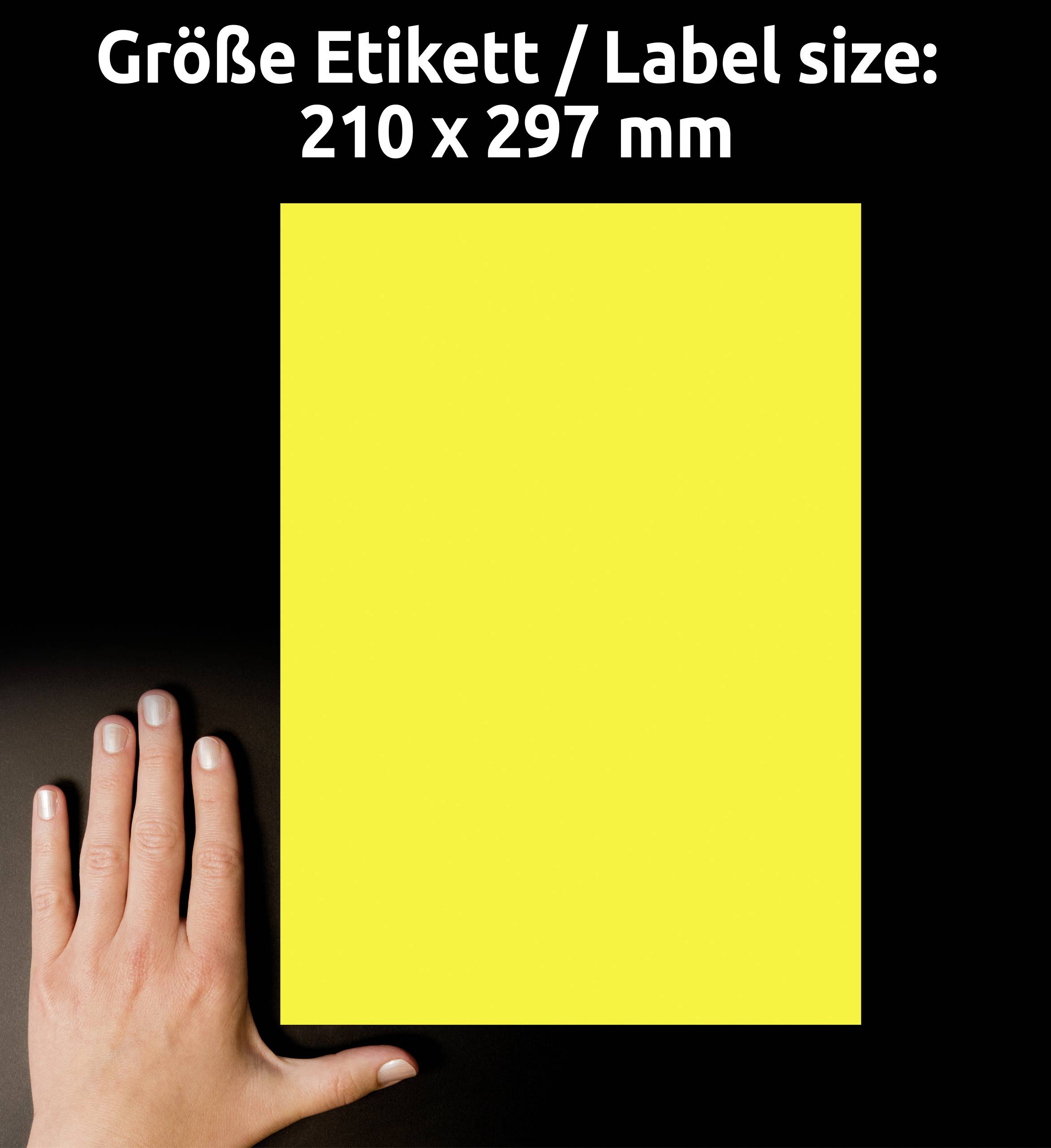 Hand neben gelbem Rechteck zeigt Etikettgröße 210 x 297 mm, vergleichbar mit DIN A4-Format.