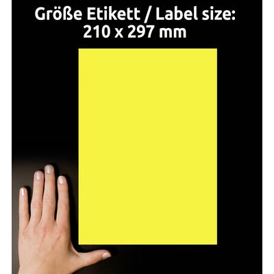 Hand neben gelbem Rechteck zeigt Etikettgröße 210 x 297 mm, vergleichbar mit DIN A4-Format.