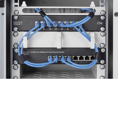 DIGITUS Professional Cavo Di Alimentazione 10'' (0,5 HE) Grigio Chiaro RAL 7035 Per Rack, DN-10 ORG-1/2U