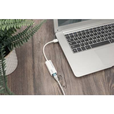 Ein Laptop auf einem Holztisch ist mit einem LAN-Adapter verbunden. Daneben steht eine Pflanze in einem weißen Topf.
