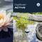 Ein Teich mit Wasserpflanzen und einem digitalen Sensor auf der Wasseroberfläche. Links eine blühende Seerose. Text: 'DigiSolar ACTIVE'.
