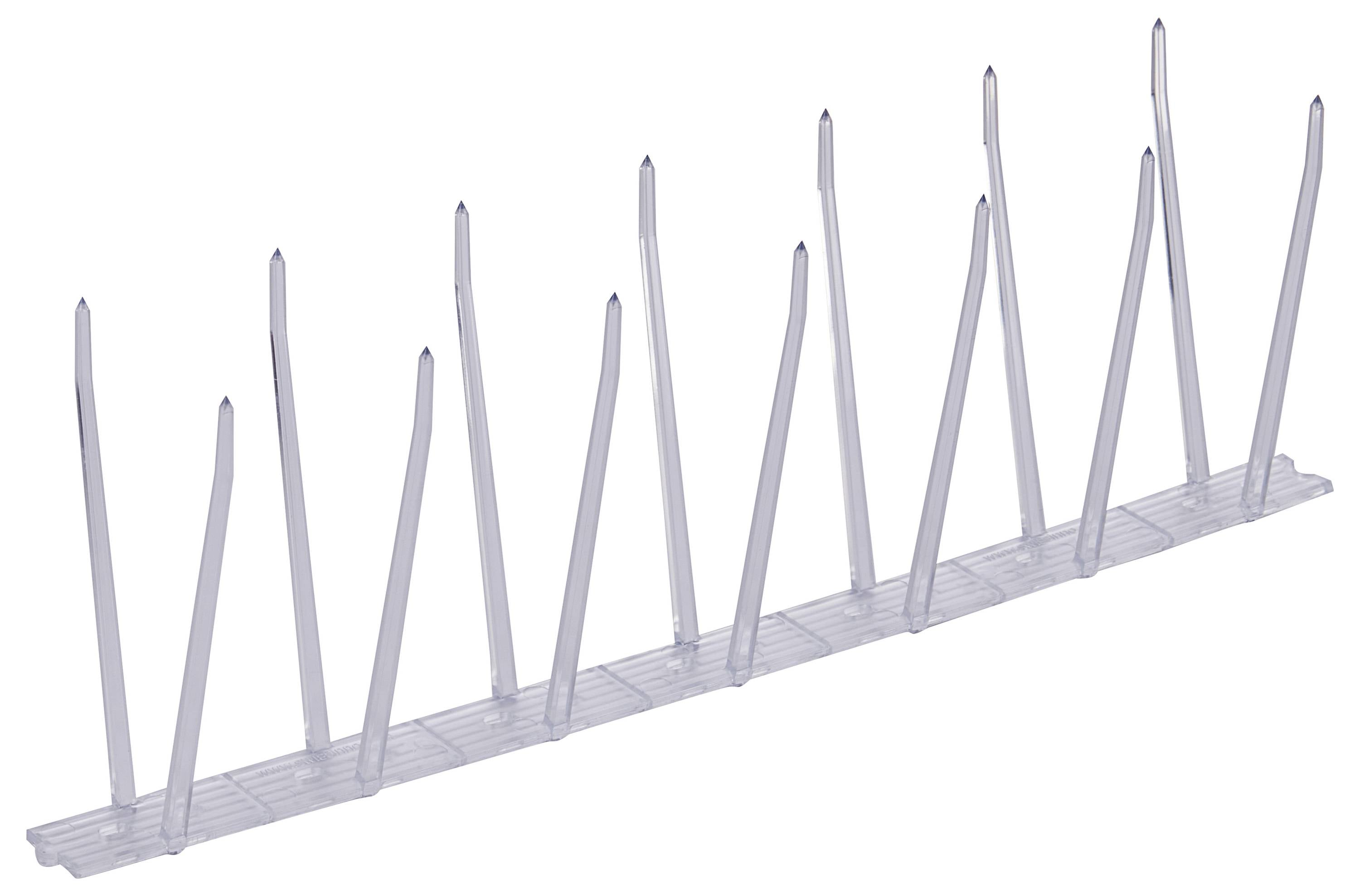 Ein transparenter Kunststoff-Spitzensatz, der entwickelt wurde, um Vögel vom Landen abzuschrecken, bestehend aus mehreren hohen und spitzen Spitzen auf einer flachen Basis.