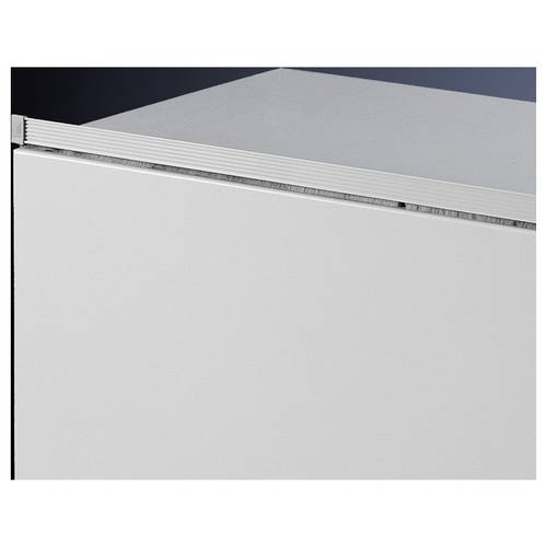 Rittal SZ 2427.100 Staubschutzleiste Lichtgrau (RAL 7035) 1 St.