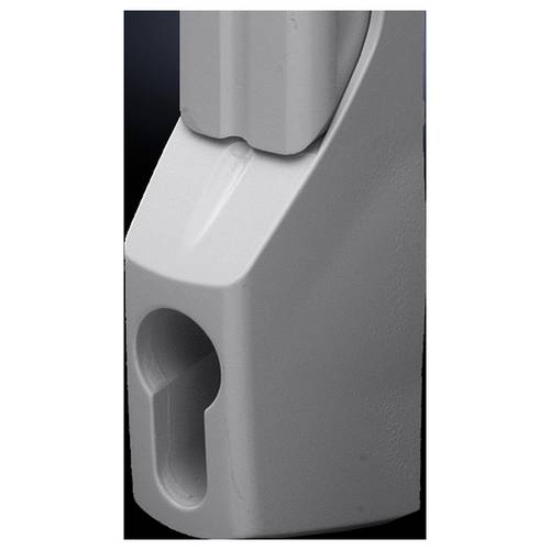 Rittal TS 8611.340 Komfortgriff für Profilhalbzylinder Nickel (matt) 1 St.