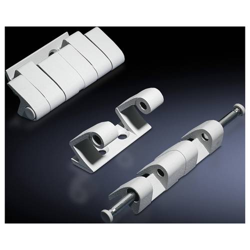 Rittal TS 8701.180 Scharnier Zinkdruckguss Matt 4 St.