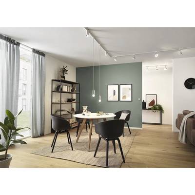 Ein modernes Wohnzimmer mit Holzboden, einem runden Esstisch, vier schwarzen Stühlen und einem Regal. Große Fenster lassen Tageslicht herein.