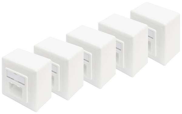 Digitus DN-9006/B5-N Netzwerkdose Aufputz CAT 6 2 Port Reinweiß 5 St.