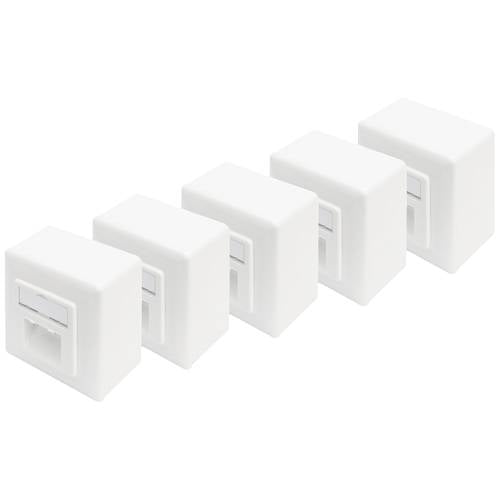Digitus DN-9006/B5-N Netzwerkdose Aufputz CAT 6 2 Port Reinweiß 5 St.