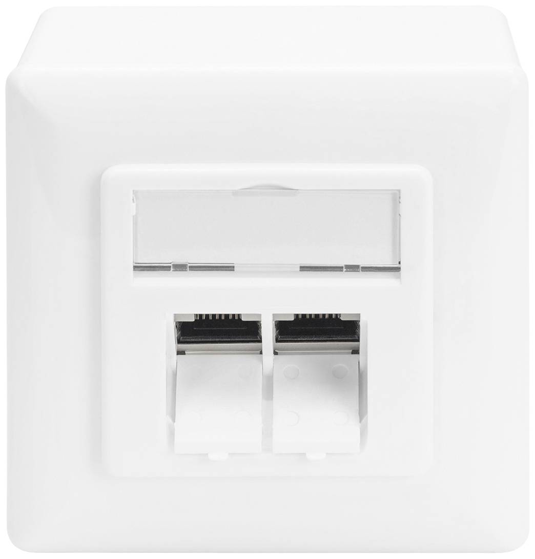 Doppelte Netzwerksteckdose in einem weißen Gehäuse, geeignet für Ethernet-Verbindungen in Büroräumen oder Heimnetzwerken.