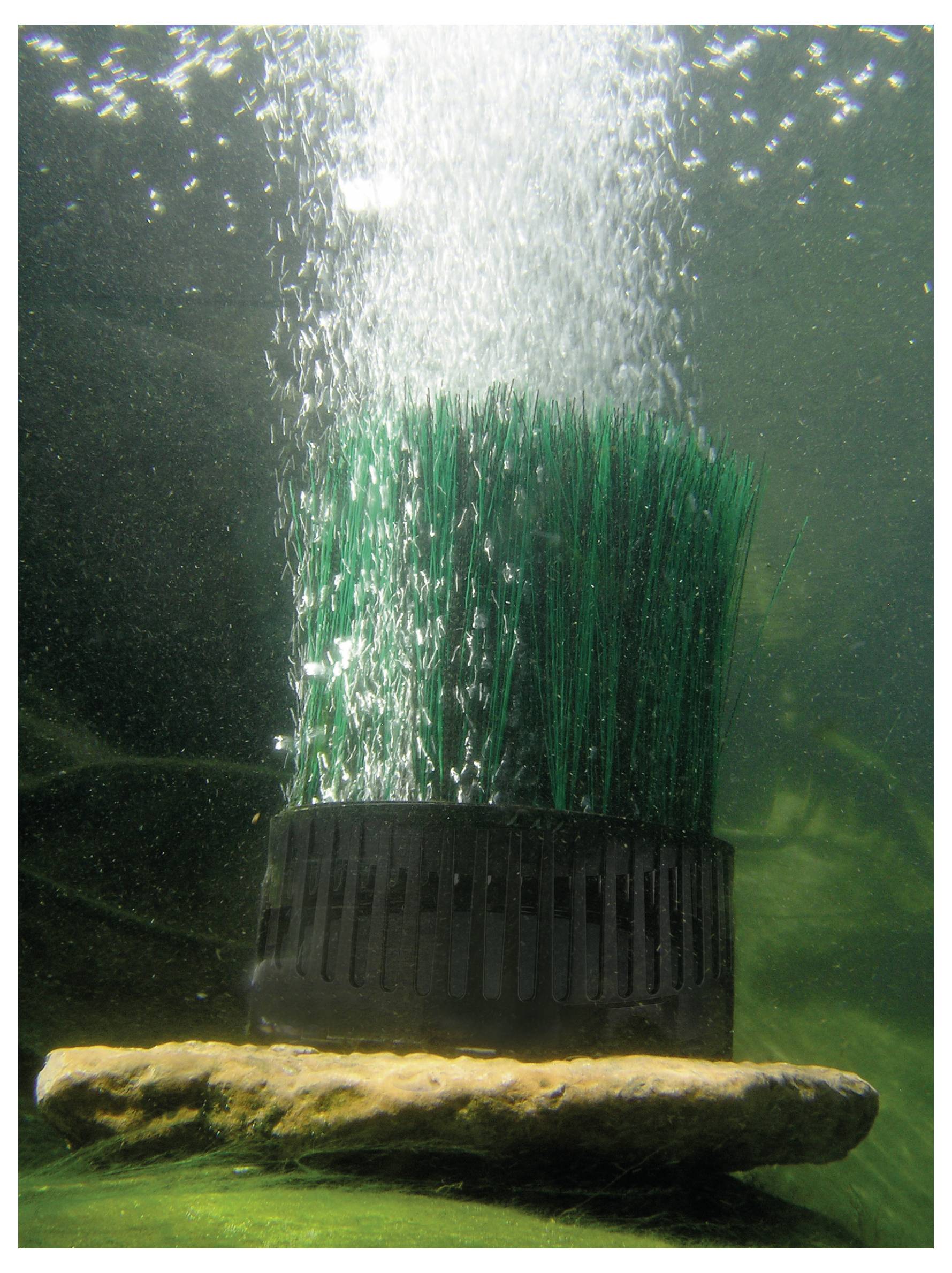 Unterwasserszene mit Blasen, die aus einem schwarzen Behälter mit grünen künstlichen Pflanzen aufsteigen, der auf einem Felsen am Grund ruht.