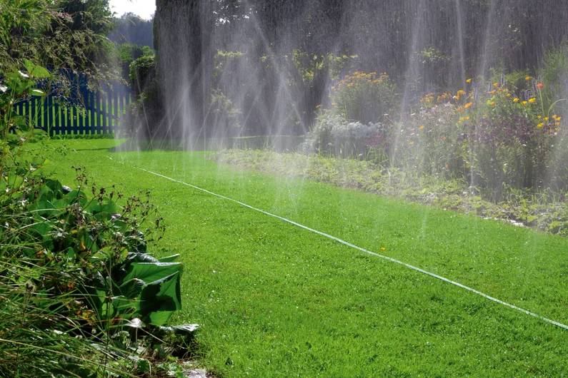 Ein Garten mit einem üppig grünen Rasen und bunten Blumen, die von Sprinklern bewässert werden und unter Sonnenlicht einen bogenförmigen Wassersprühnebel erzeugen.