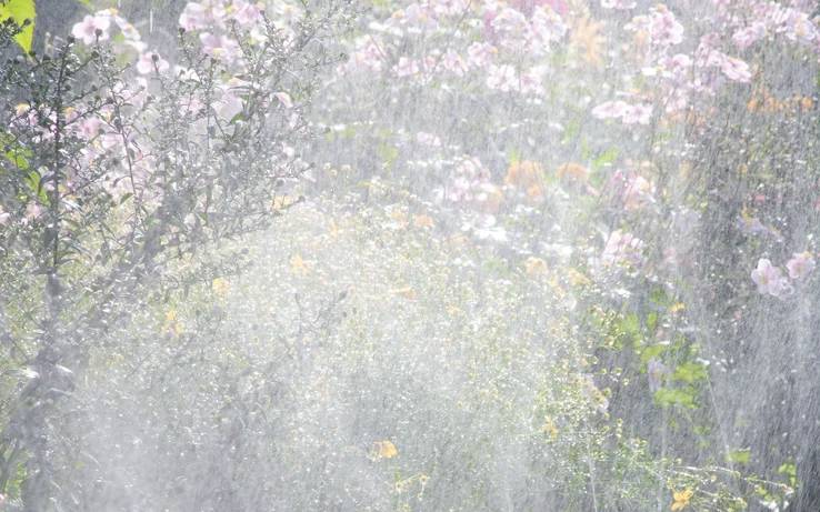 Blumen in einem Garten werden bewässert, wobei rosafarbene, orangefarbene und gelbe Blüten durch einen Wassernebel sichtbar sind.