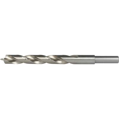 Ein Metallspiralbohner mit Spiralnuten und zylindrischem Schaft auf weißem Hintergrund.