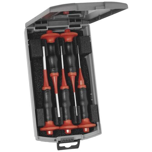 Rennsteig Werkzeuge Splintentreibersatz HS Exklusiv 425 502 6