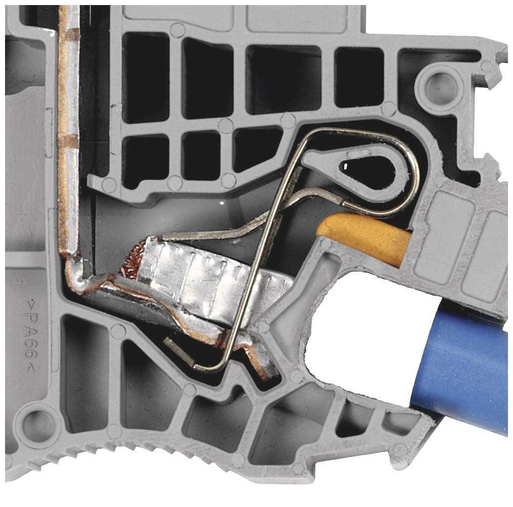Querschnitt eines elektrischen Steckverbinders mit Metallkontakten und blauen Kabeln, zeigt strukturelle Details und Design.