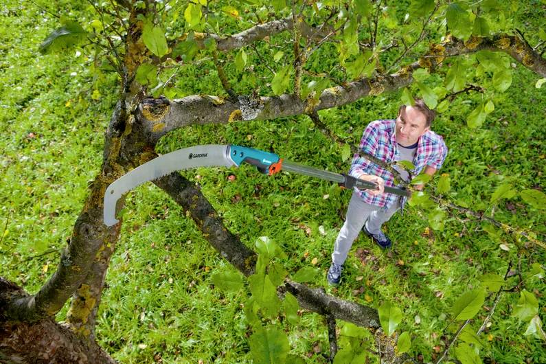 Ein Mann in einem karierten Hemd schneidet Äste von einem Baum mit einer Astsäge in einem grünen Garten.