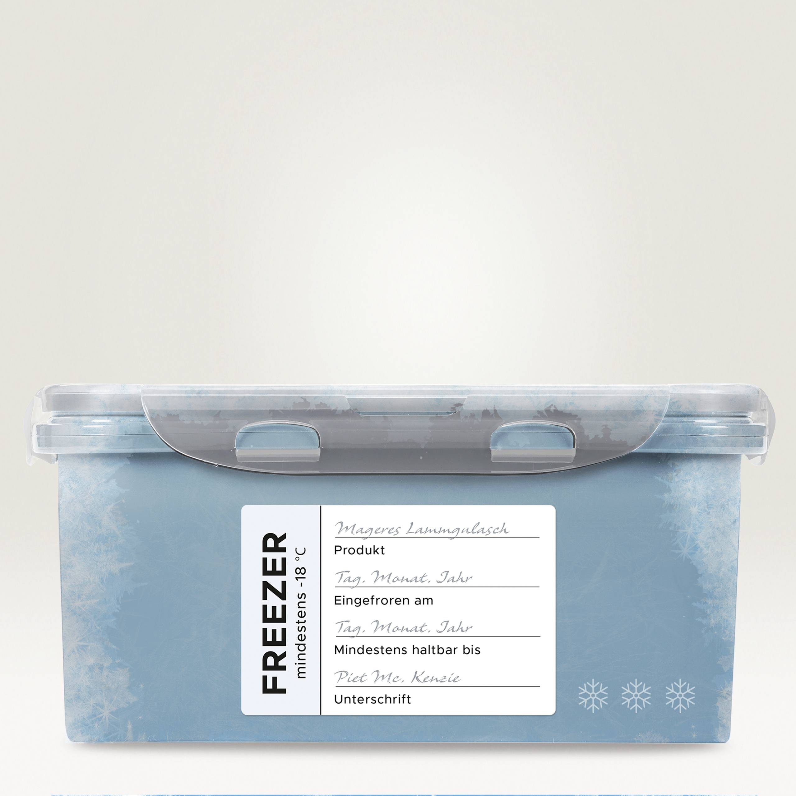 Eine gefrorene Plastikbox mit Etikett 'Produkt', 'Tag/Monat/Jahr', 'Eingefroren am', 'Bis' und 'Unterschrift'. Text: 'FREEZER, mindestens -18°C'.