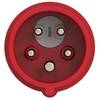 PCE 5572516000 CEE Motorschutzstecker 32 A 5polig 400 V 1 St.