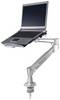 Neomounts NOTEBOOK-D200 - Befestigungskit - einstellbarer Arm - für Notebook - Silber - Bildschirmgröße: 25.4-43 cm (10"