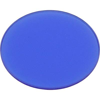 Ein einfacher, kräftig blauer ovaler Kreis auf weißem Hintergrund; dient oft als dekoratives Element oder Farbakzent.