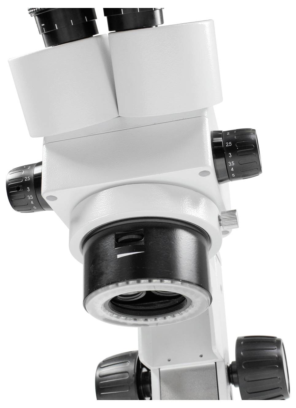 Ein Mikroskop mit Okularen und Zoom-Reglern, das zur Nahansicht von kleinen Objekten in einem Labor oder einer Bildungseinrichtung verwendet wird.