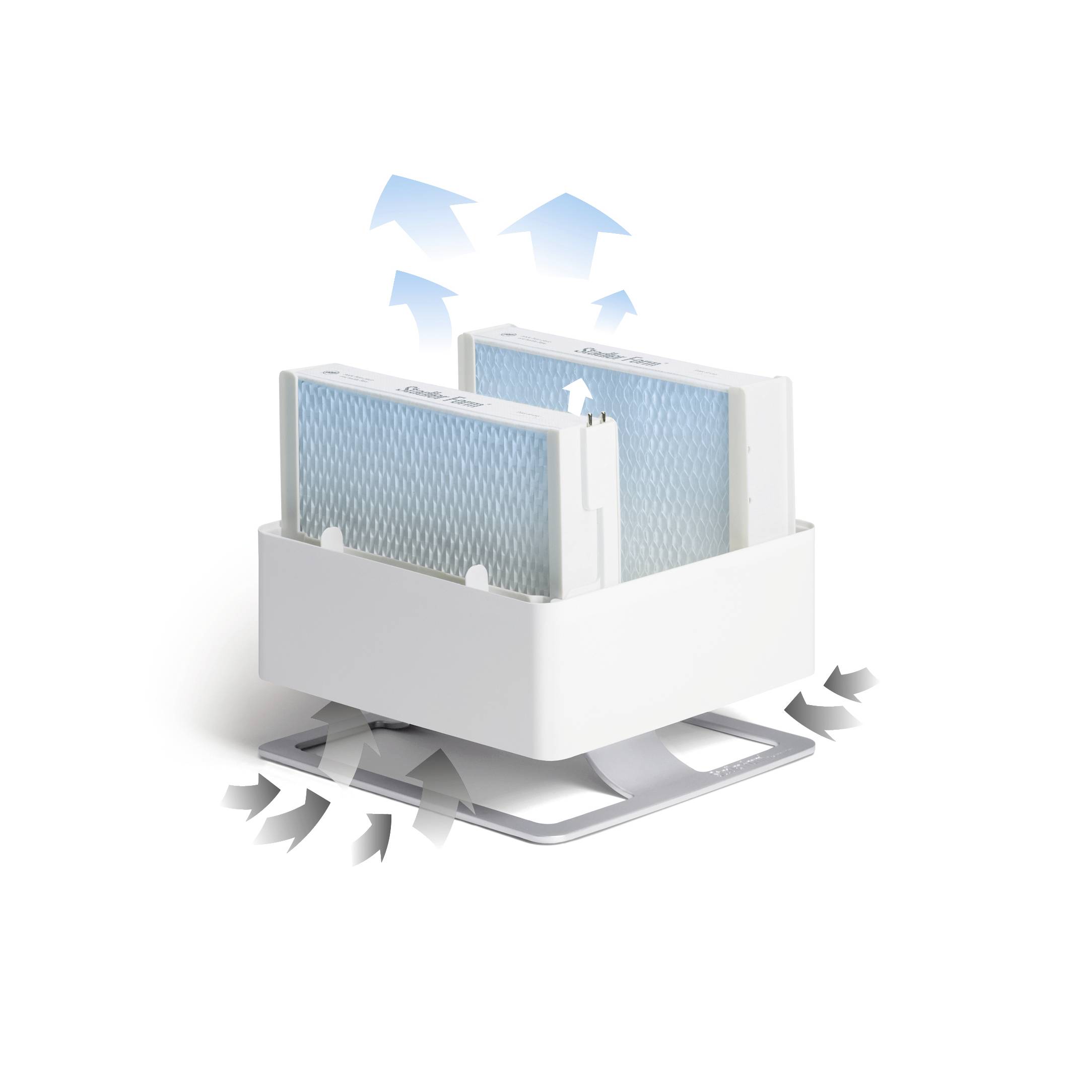 Luftreiniger mit zwei sichtbaren Filtern, die nach oben in einem weißen Gehäuse eingesetzt sind. Blaue Pfeile zeigen Luftstrom.