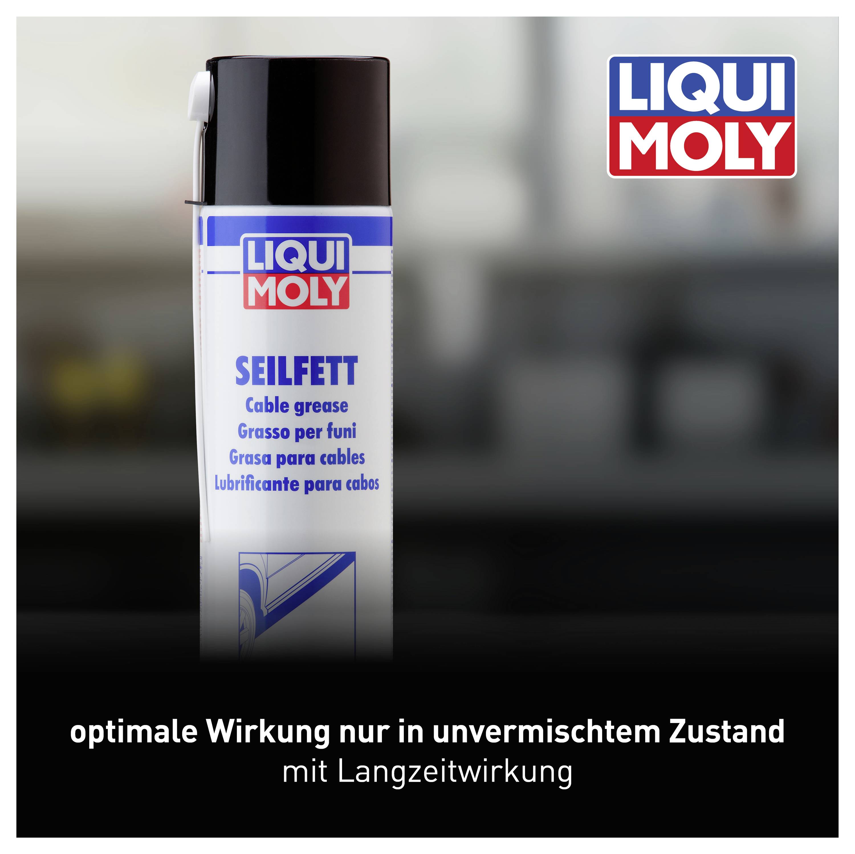 'LIQUI MOLY Seilfett' Spraydose auf unscharfem Hintergrund. Text unten: 'optimale Wirkung nur in unvermischtem Zustand mit Langzeitwirkung'.