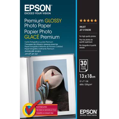 Epson Premium Glossy Photo Paper C13S042154 Fotopapier 13 x 18 cm 255 g/m² 30 Blatt Hochglänzend