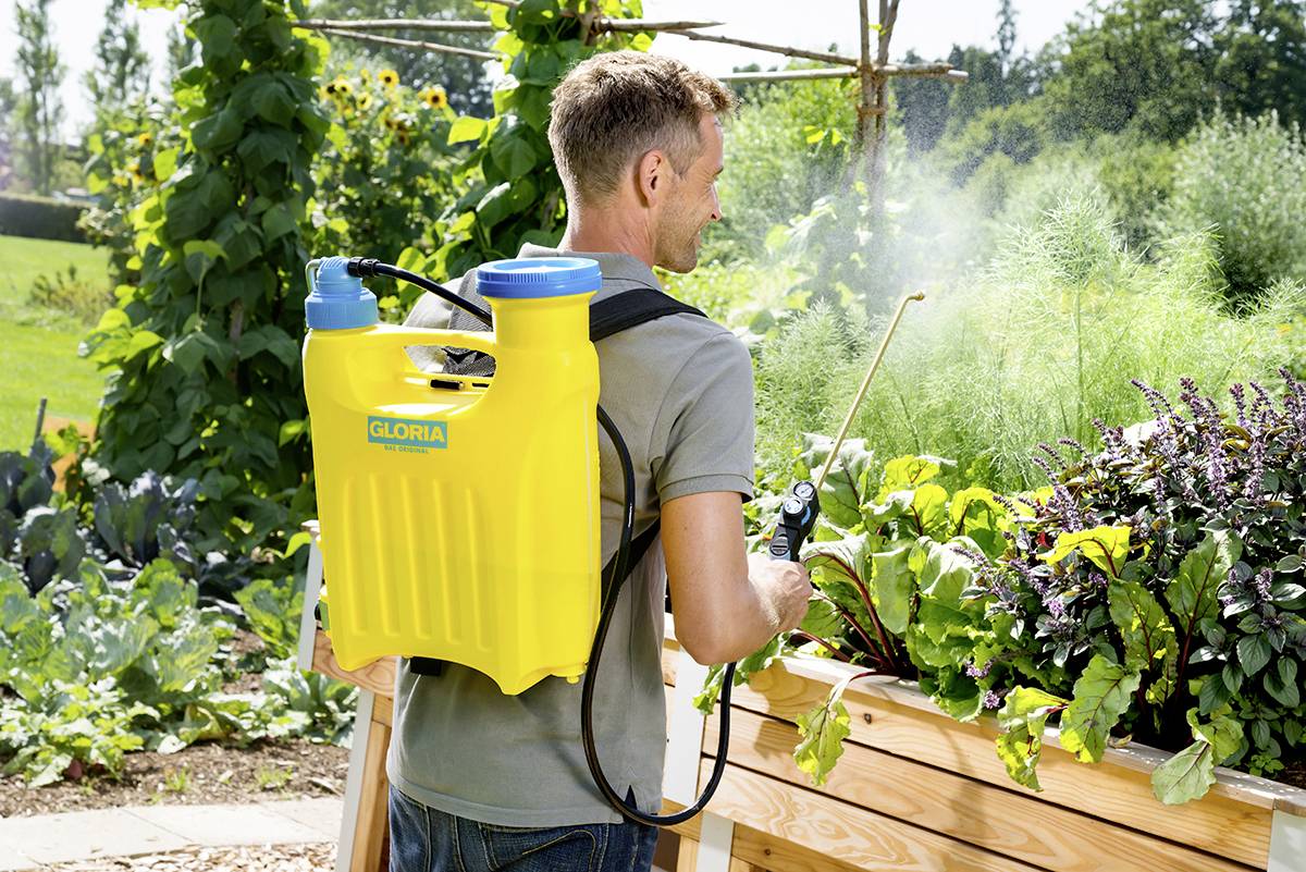 Eine Person mit einer gelben Rückenspritze bewässert Gemüse in einem Garten. Im Hintergrund sind hohe Pflanzen zu sehen.