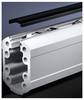 Rittal CP 6206.110 Tragprofil Aluminium Hellgrau 1 St.