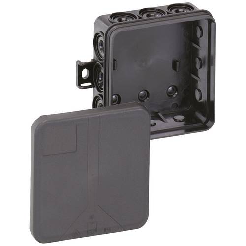 Spelsberg 33221201 Verbindungsdose (L x B x H) 85 x 85 x 37 mm Schwarz IP55 1 St.