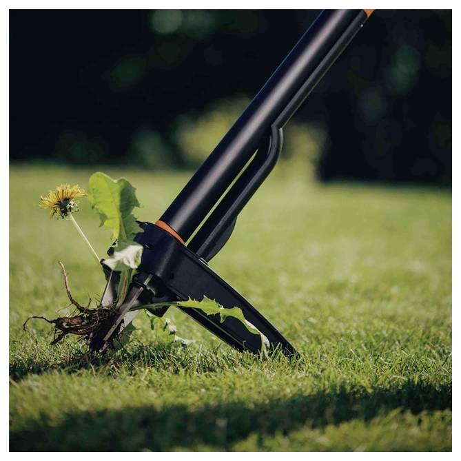 Ein Werkzeug zieht einen Löwenzahn aus dem Gras und zeigt damit das Entfernen von Unkraut.