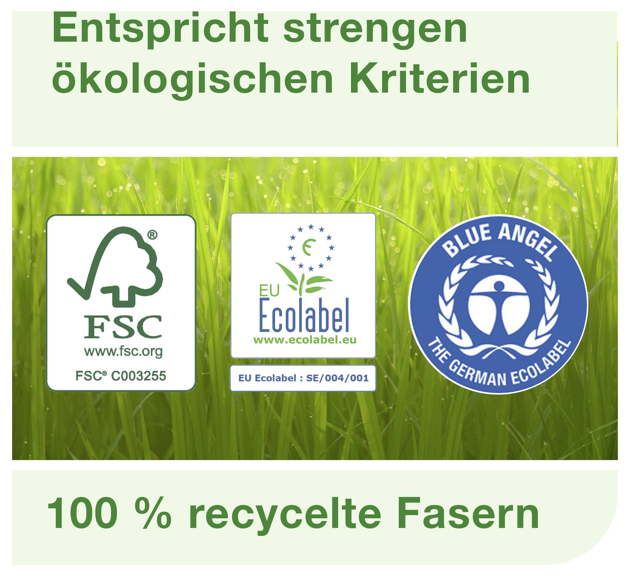 Grafik mit Umweltlogos FSC, EU Ecolabel und Blauem Engel; Text: 'Entspricht strengen ökologischen Kriterien' und '100 % recycelte Fasern'.
