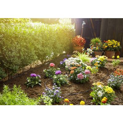 Ein lebendiger Garten mit bunten Blumenbeeten und grünen Hecken im Vordergrund. Im Hintergrund stehen Blumentöpfe auf einem Holzdeck.