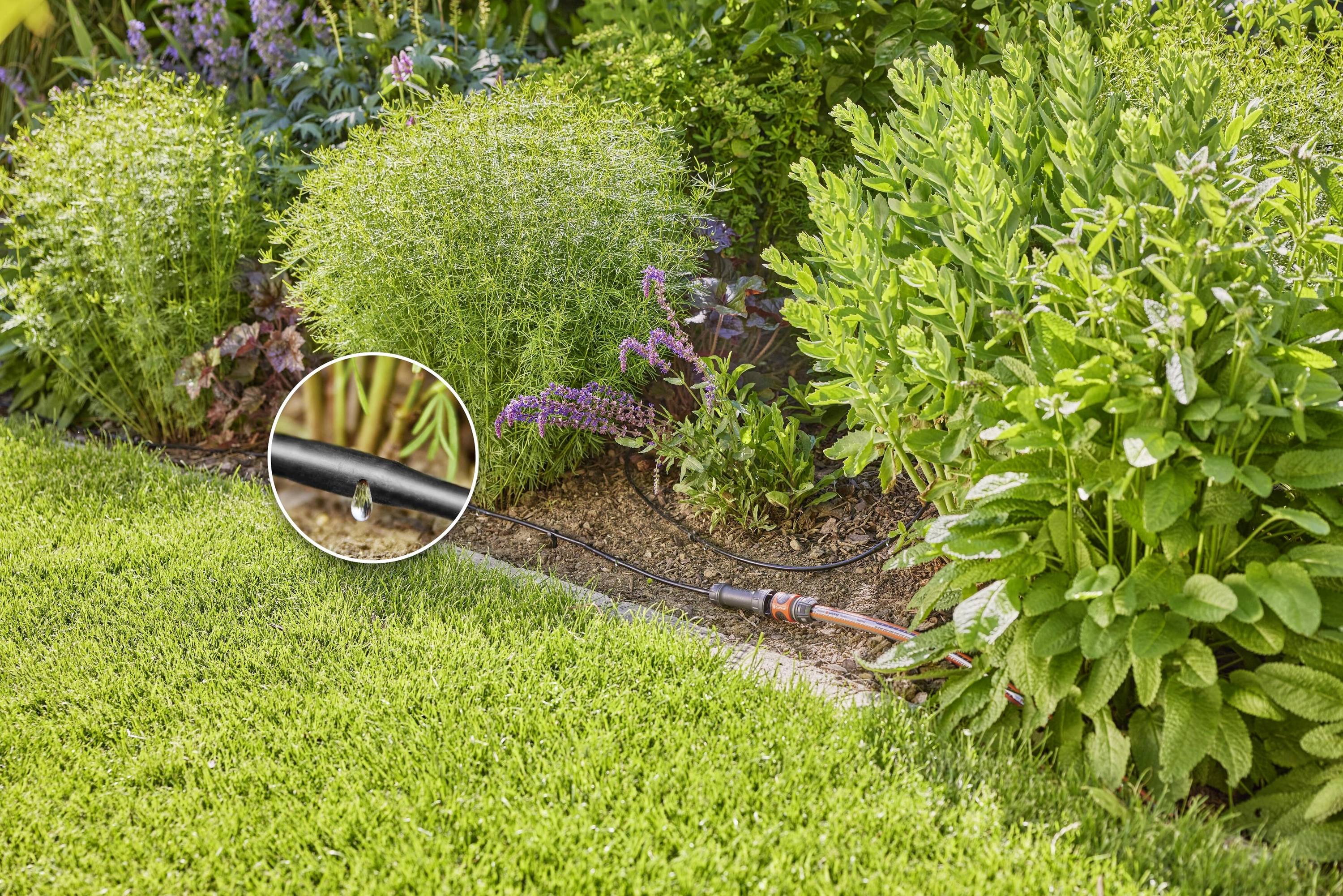Ein Gartenschlauch mit kleinen Löchern bewässert Grünpflanzen und Blumen auf einem Rasen. Ein vergrößertes Detail zeigt einen Wassertropfen.
