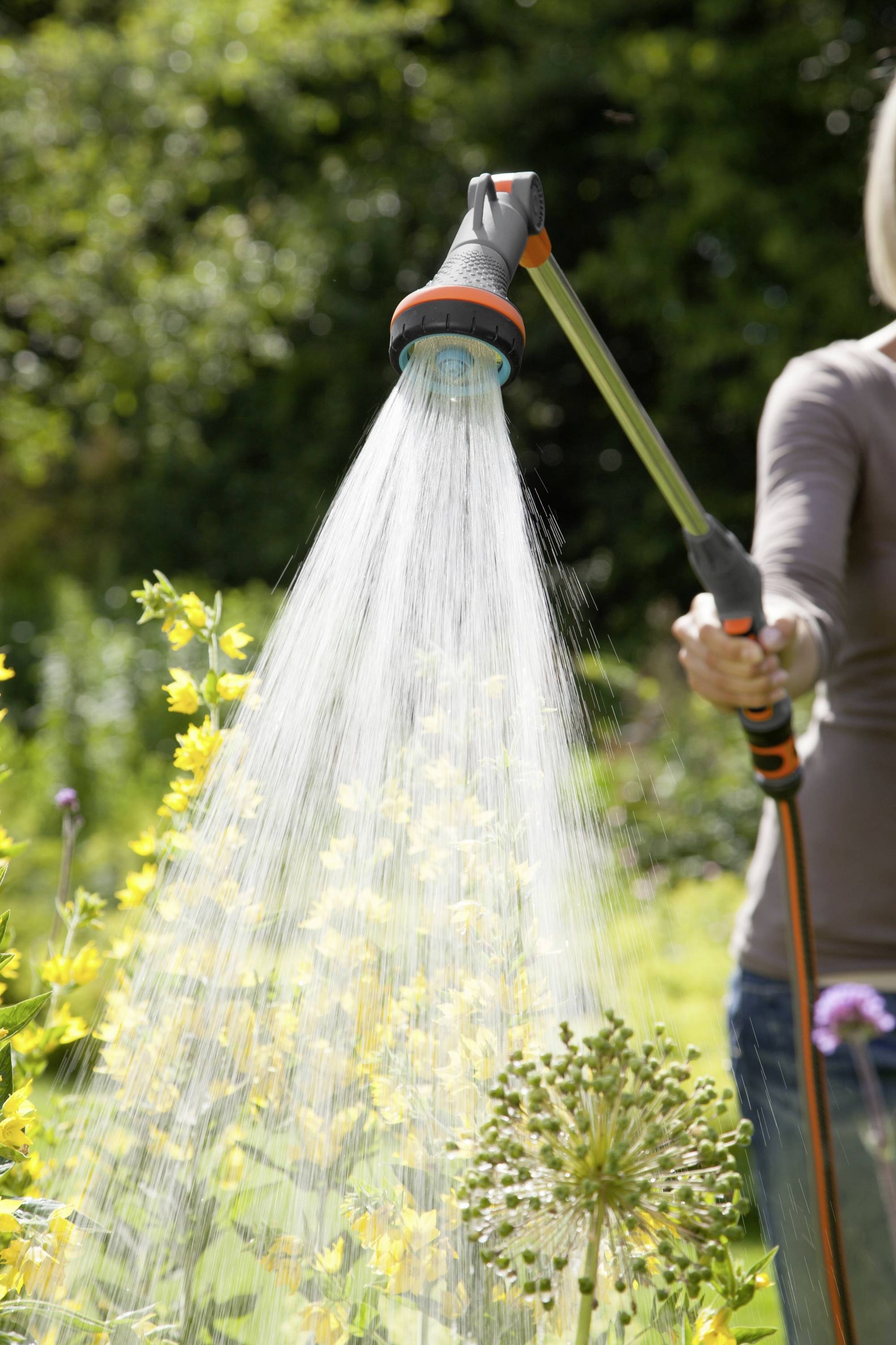 Person gießt gelbe Blumen im Garten mit einer Gießbrause an einem sonnigen Tag.