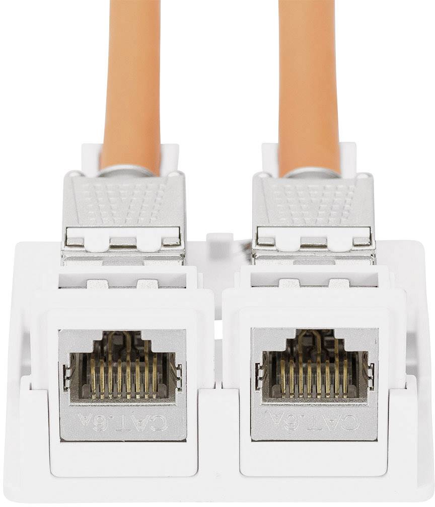 Zwei orange Ethernet-Kabel sind mit einem weißen Doppelnetzwerkanschluss verbunden, geeignet für CAT-6A-Netzwerke.