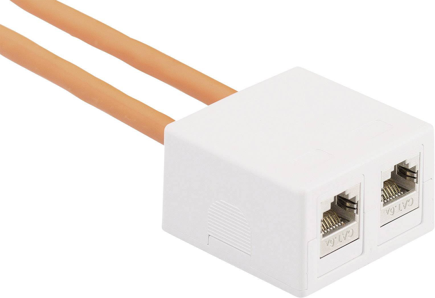 Zwei orange Ethernet-Kabel sind in einen weißen Netzwerk-Splitter mit zwei Ports gesteckt.