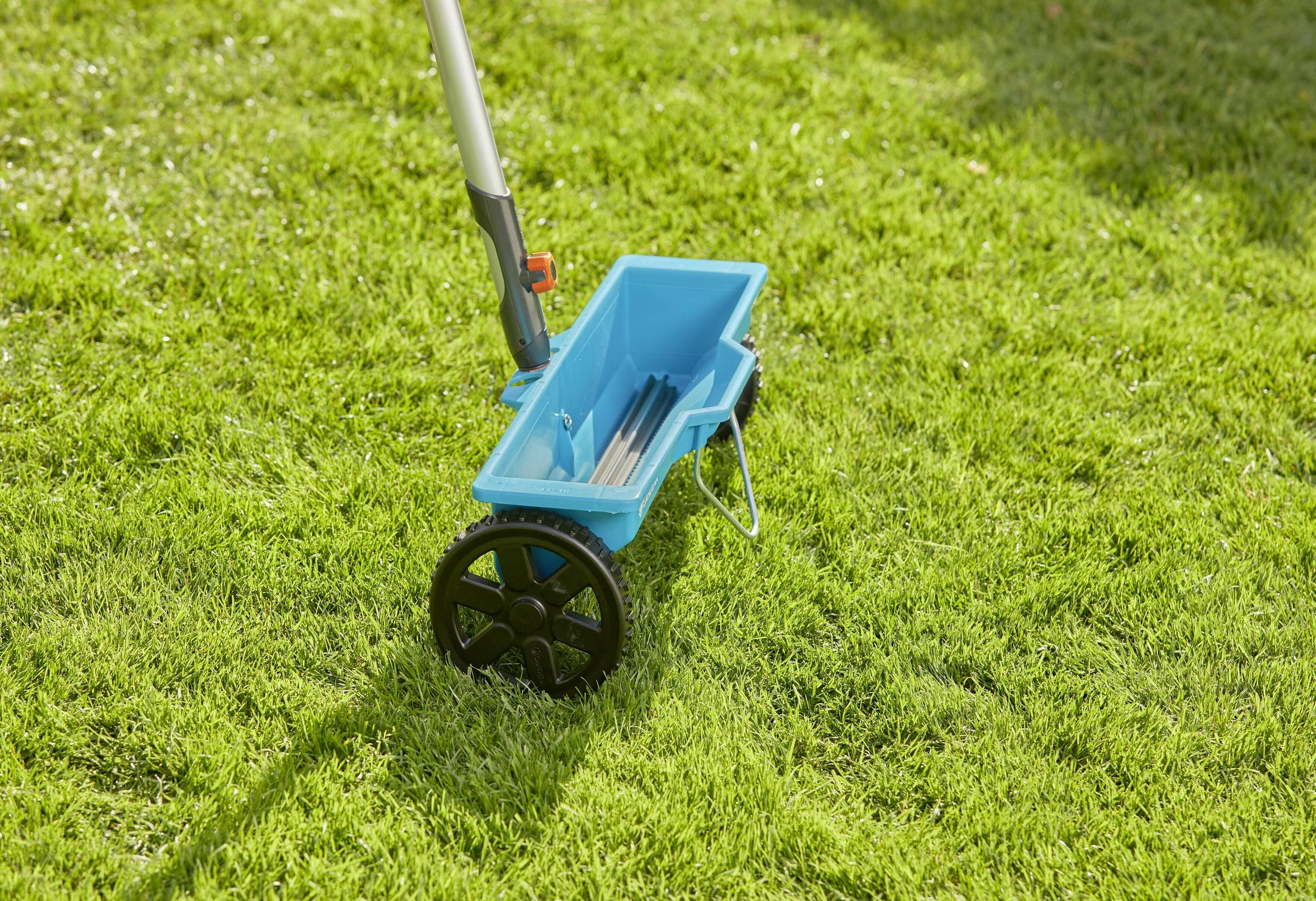 Ein blauer Düngerstreuer auf grünem Rasen. Der Streuer hat große Räder und einen langen Griff, geeignet für die gleichmäßige Düngerverteilung.