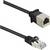 Ein Ethernet-Kabel mit RJ45-Stecker und Buchse, typischerweise verwendet für Netzwerkschnittstellen in Computernetzwerken.