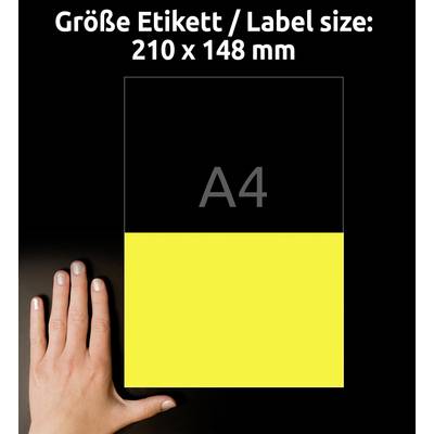 'Größe Etikett / Label size: 210 x 148 mm' über einem A4 aufgeteilten Bild: obere Hälfte schwarz, untere gelb. Hand zum Größenvergleich.